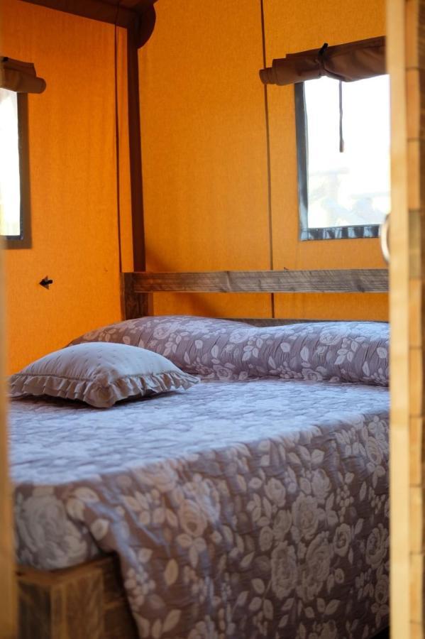 La Viola E Il Sole - Alloggi E Glamping - Fermo Luaran gambar