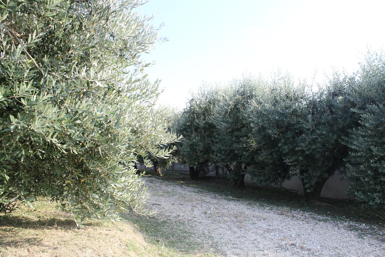 La Viola E Il Sole - Alloggi E Glamping - Fermo Luaran gambar