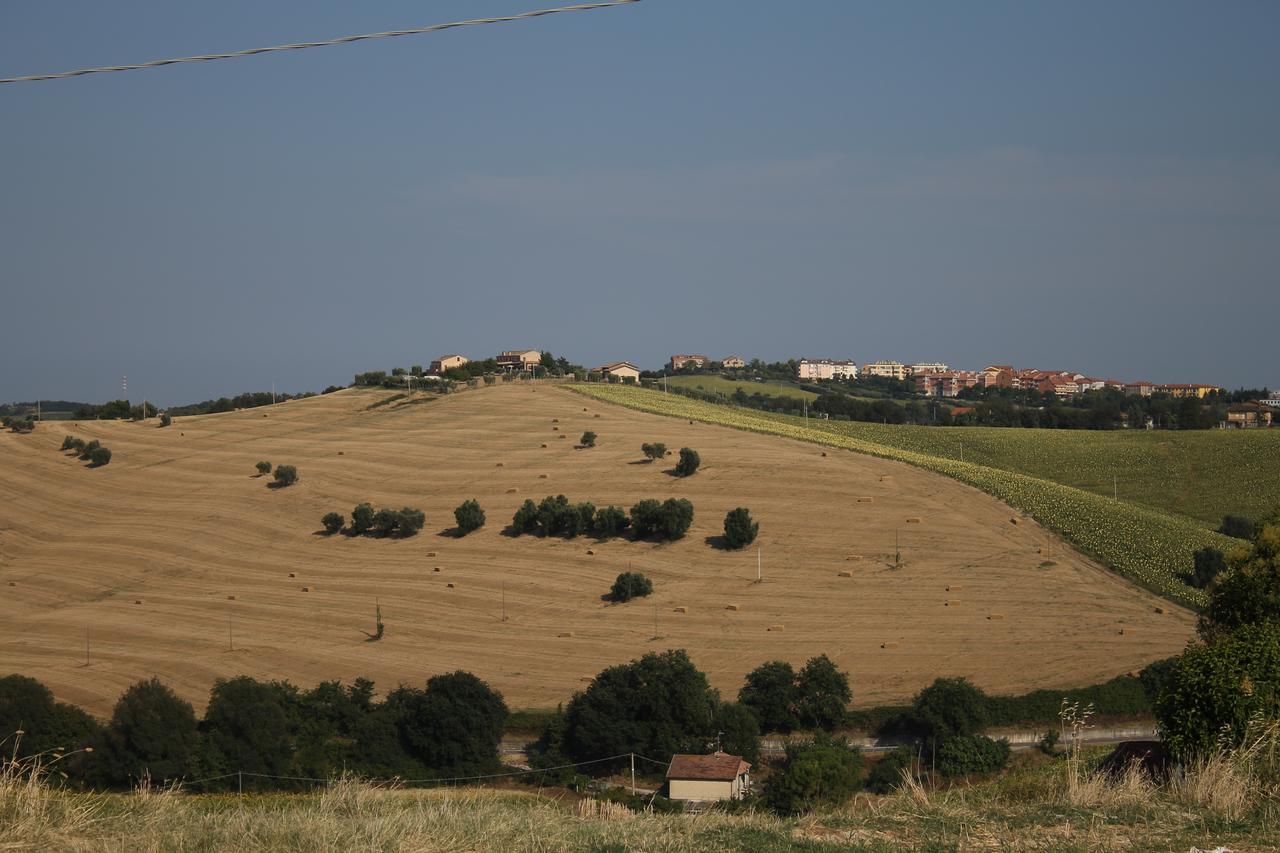 La Viola E Il Sole - Alloggi E Glamping - Fermo Luaran gambar